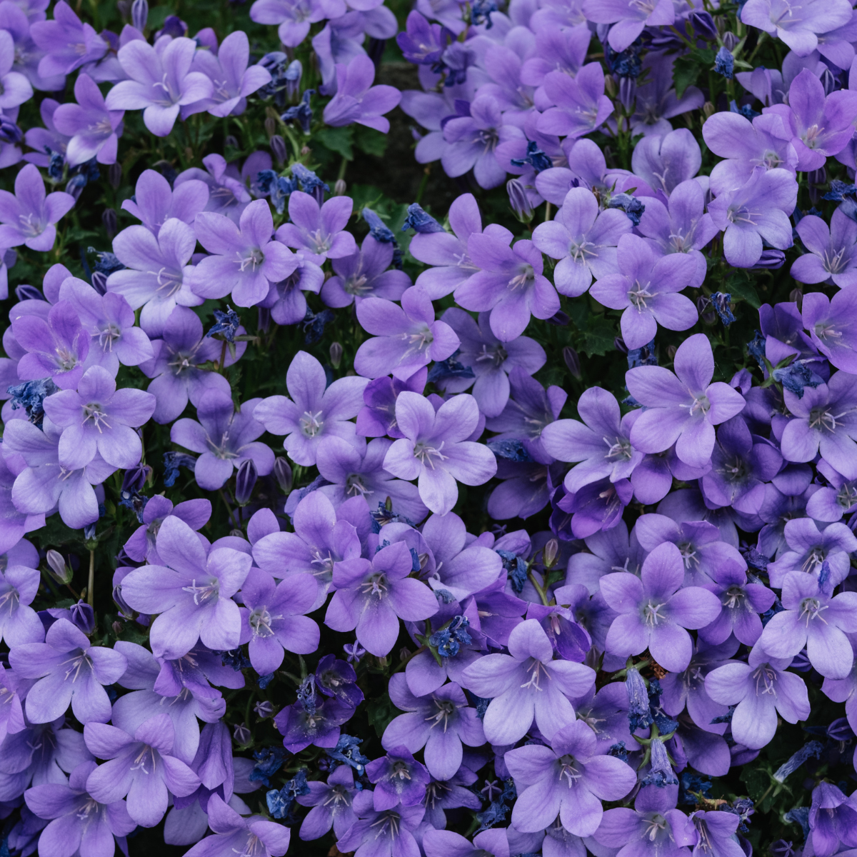 M&G Research Stands United Against Gender-Based Violence